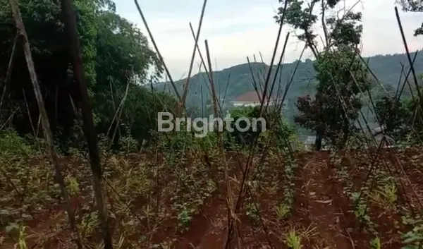 image TANAH KAMPUNG GADOG MEGAMENDUNG (2)