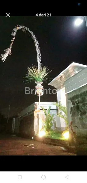 image RUMAH STYLE VILLA LUAS 4 ARE, ASRI DAN NYAMAN, LOKASI STRATEGIS LINGKUNGAN VILLA DI PEMARON, MUNGGU (8)