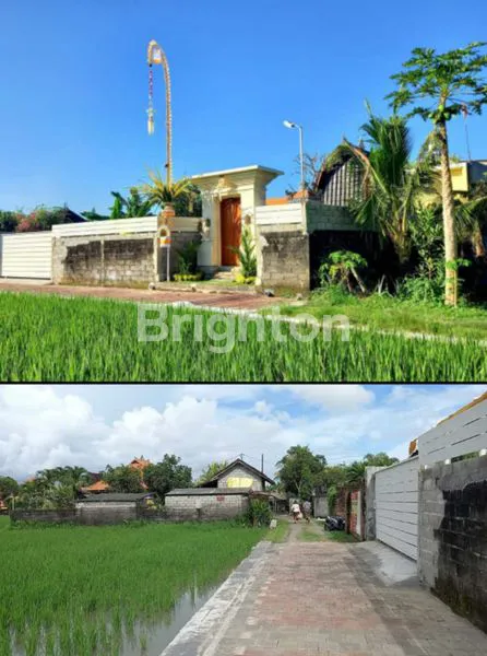 image RUMAH STYLE VILLA LUAS 4 ARE, ASRI DAN NYAMAN, LOKASI STRATEGIS LINGKUNGAN VILLA DI PEMARON, MUNGGU (4)