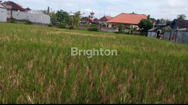 TANAH MURAH 3 ARE DI MUNGGU DEKAT DENGAN CANGGU. COCOK DIBUAT VILLA, HOMESTAY