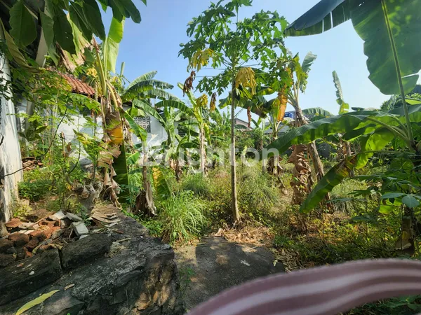 image RUMAH GUDANG DI JATINGALEH - SEMARANG, HITUNG TANAH SAJA (2)