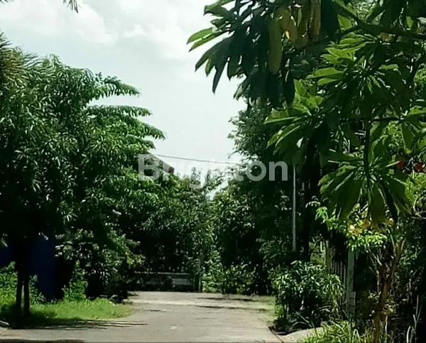 image SIDOSERMO PDK MURAH SEMI FURNISH DEKAT JEMURSARI, MARGOREJO (6)