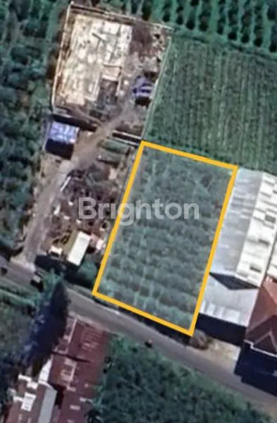 image TANAH LUAS DI JALAN RAYA DIENG ATAS (1)