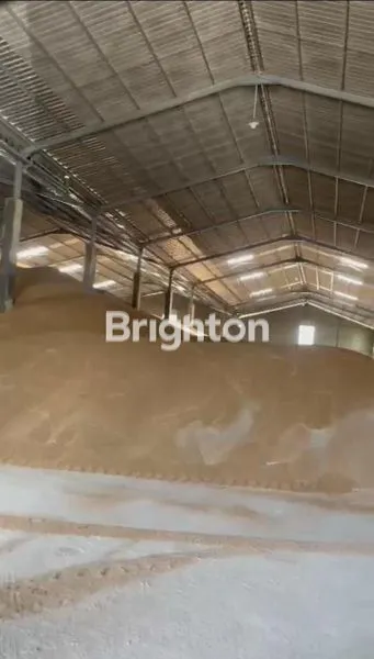 image GUDANG PREMIUM 4600M² DI MANYAR GRESIK - AKSES INDUSTRI STRATEGIS (2)