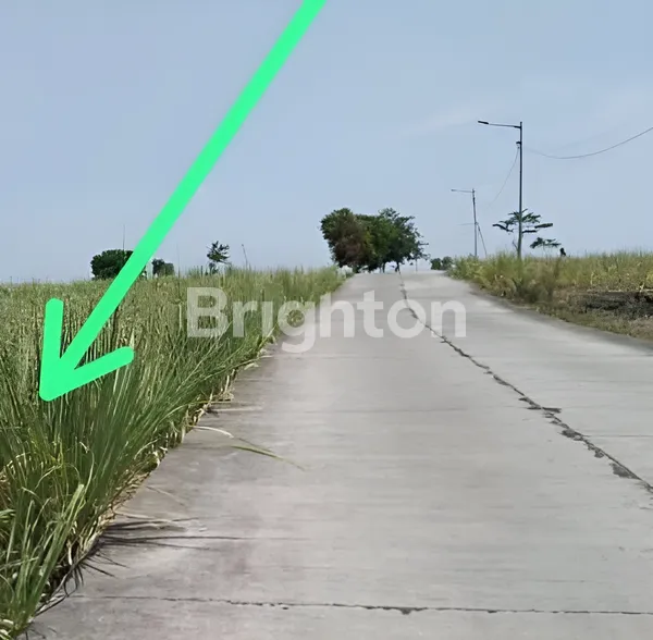 KAVLING MURAH DI MOJOKERTO