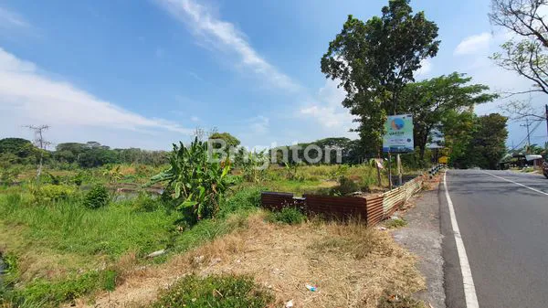 image TANAH 1.5HA RAYA PRIGEN ( EKS PABRIK KAYU ) LOKASI STRATEGIS SEBELAH FINNA GOLF RESORT, COCOK UTK BANGUN PERUMAHAN, PABRIK AIR KEMASAN, WISATA KULINER, HOTEL, VILLA DLL, PASURUAN (1)