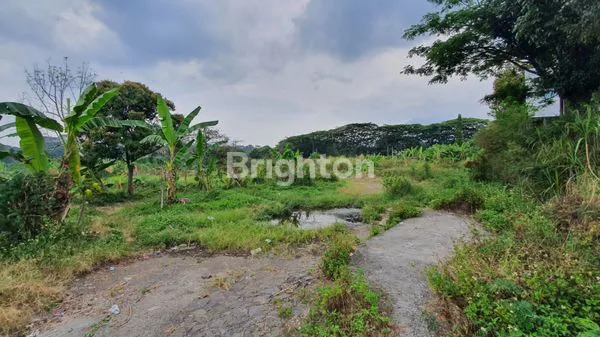 image TANAH 1.5HA RAYA PRIGEN ( EKS PABRIK KAYU ) LOKASI STRATEGIS SEBELAH FINNA GOLF RESORT, COCOK UTK BANGUN PERUMAHAN, PABRIK AIR KEMASAN, WISATA KULINER, HOTEL, VILLA DLL, PASURUAN (3)