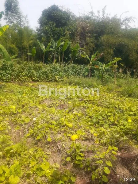 image TANAH PERUMAHAN / KOMERSIAL JOMBANG CIPUTAT (1)