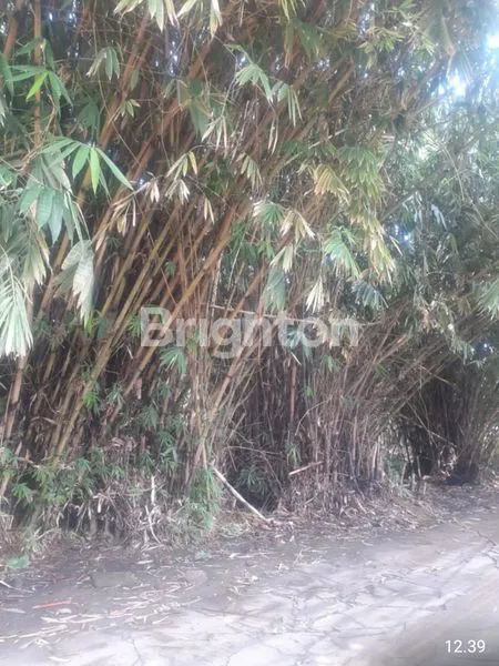 image TANAH PERUMAHAN / KOMERSIAL JOMBANG CIPUTAT (3)