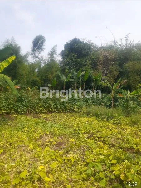 image TANAH PERUMAHAN / KOMERSIAL JOMBANG CIPUTAT (2)