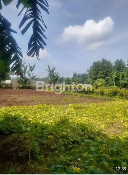 image TANAH PERUMAHAN / KOMERSIAL JOMBANG CIPUTAT (4)