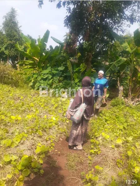 image TANAH PERUMAHAN / KOMERSIAL JOMBANG CIPUTAT (5)