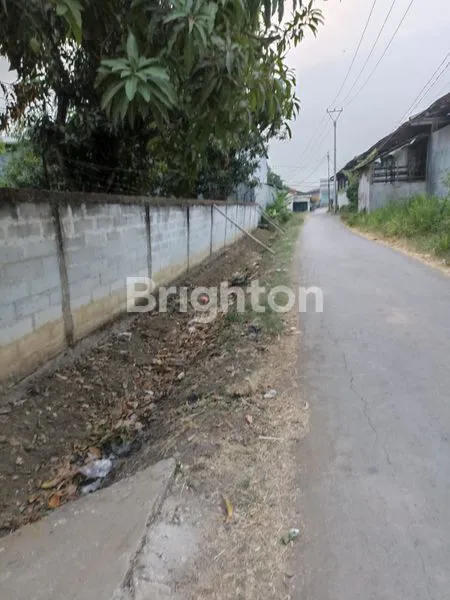 image TANAH LUAS DI WIDASARI BANGKALOAK INDRAMAYU (2)