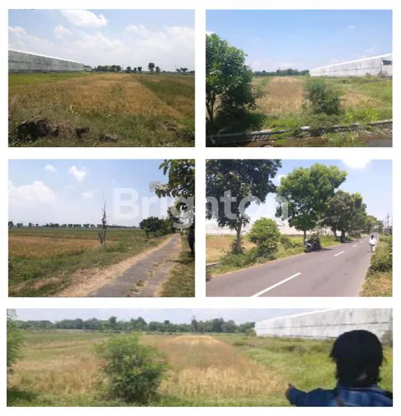 image TANAH SIAP BANGUN DAN PAKAI!! LOKASI STRATEGIS DAN AKSES BAGUS!! BISA UTK GUDANG!! SUDAH KERING (1)