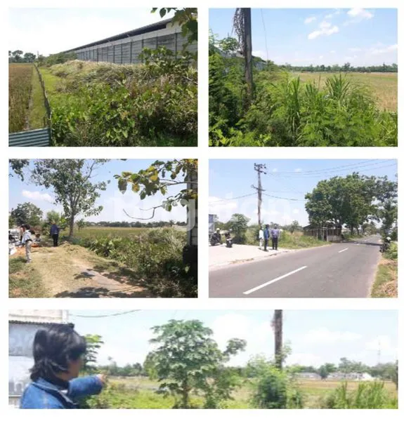 image TANAH SIAP BANGUN!! LOKASI STRATEGIS DAN AKSES BAGUS!! BISA UTK GUDANG!! SUDAH KERING (1)