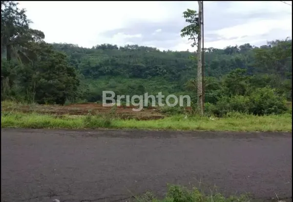 image TANAH DIJUAL RAYA JEDONG WAGIR (4)