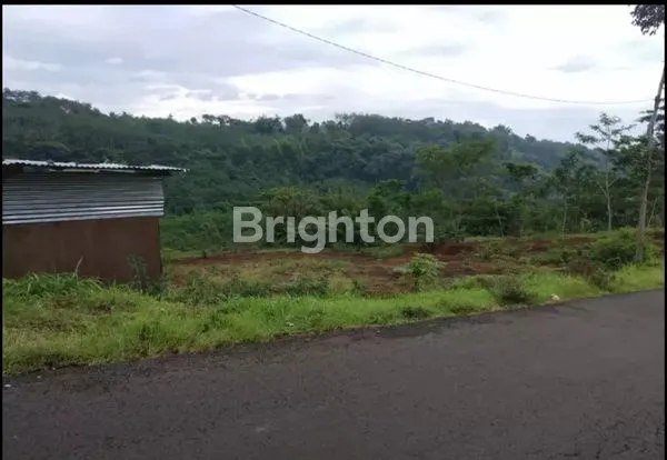 image TANAH DIJUAL RAYA JEDONG WAGIR (3)