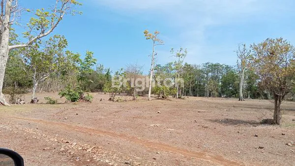 image TANAH 6 ARE DAN 17 ARE DAPAT AMBIL SEMUANYA (3)