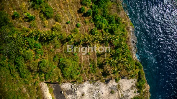 image TANAH KAVLING SIAP BANGUN LOS TEBING VIEW PANTAI DESA PEJUKUTAN DAERAH PARIWISATA NUSA PENIDA (2)