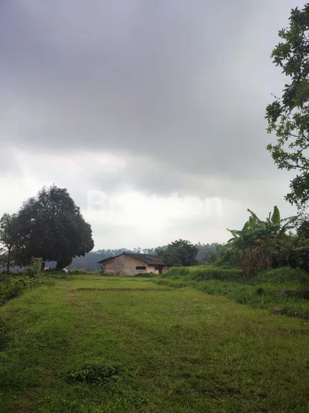 image TANAH DIJUAL – LOKASI STRATEGIS PACET - TRAWAS (1)