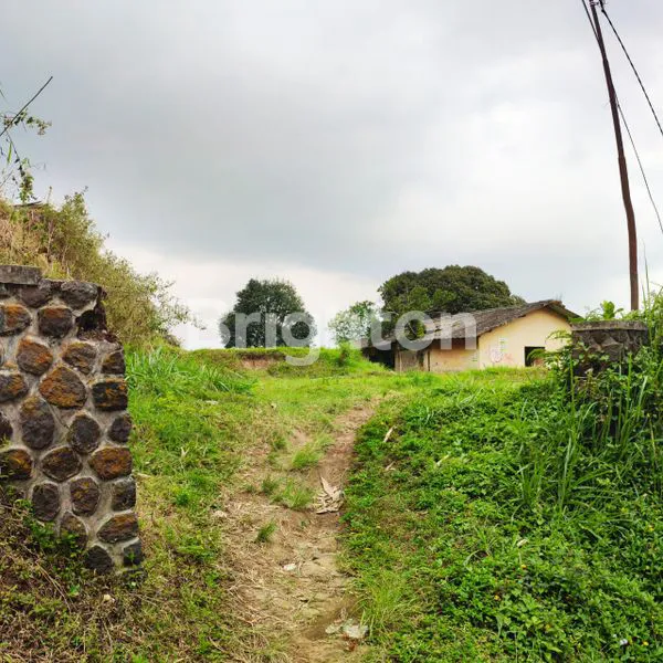 image TANAH DIJUAL – LOKASI STRATEGIS PACET - TRAWAS (7)