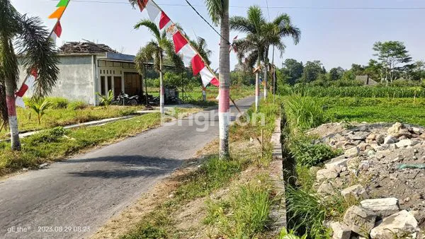 image TANAH PEKARANGAN STRATEGIS. SELANGKAH STADION MAGUWOHARJO (2)
