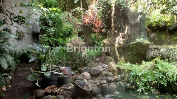 image RUMAH SIAP HUNI DAN NYAMAN DI GUNUNG PUTRI BOGOR (4)