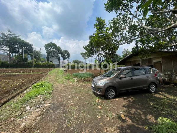 image TANAH LUAS MURAH DAN STRATEGIS DI KOTA BATU DEKAT JATIMPARK 1, MUSEUM ANGKUT, AGROWISATA (3)