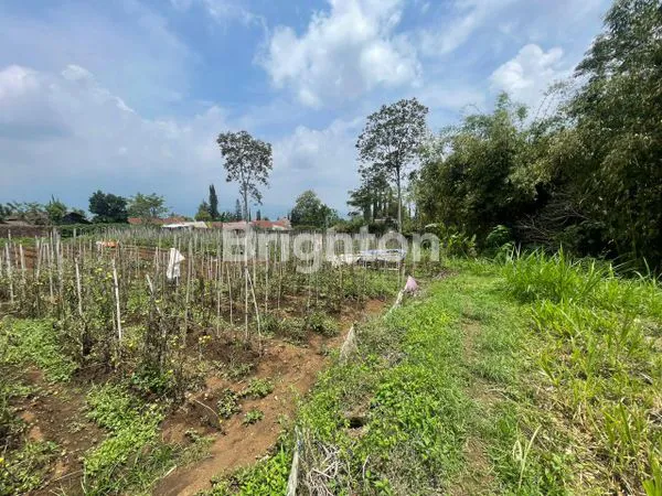 image TANAH LUAS MURAH DAN STRATEGIS DI KOTA BATU DEKAT JATIMPARK 1, MUSEUM ANGKUT, AGROWISATA (4)