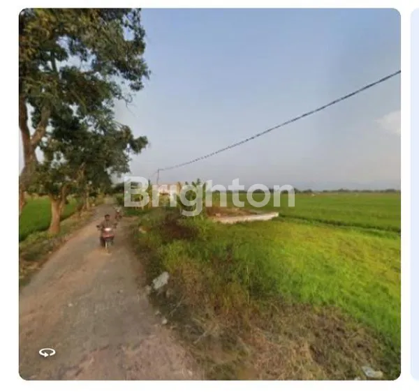 TANAH MURAH DI DAERAH TROWULAN MOJOKERTO
