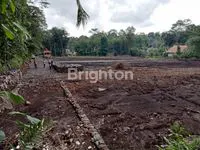 IMG 20231126 WA00181