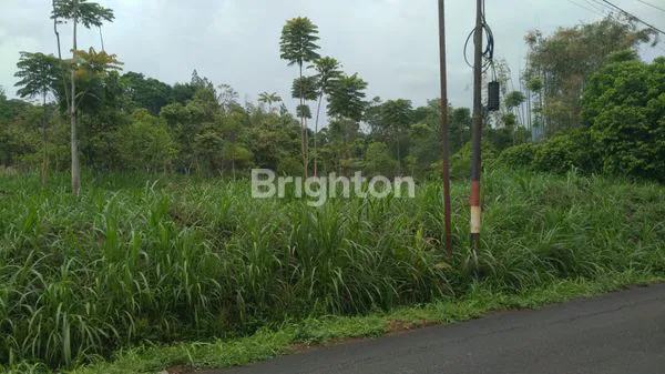 image TANAH DI PINGGIR JALAN BATUR GETASAN KAB.SEMARANG (6)