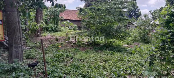 image TANAH SIAP BANGUN DEKAT HOTEL HYATT PALAGAN (1)