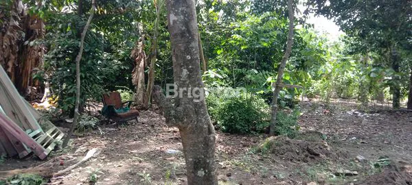 image TANAH SIAP BANGUN DEKAT HOTEL HYATT PALAGAN (4)