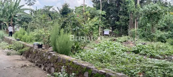 image TANAH SIAP BANGUN DEKAT HOTEL HYATT PALAGAN (6)