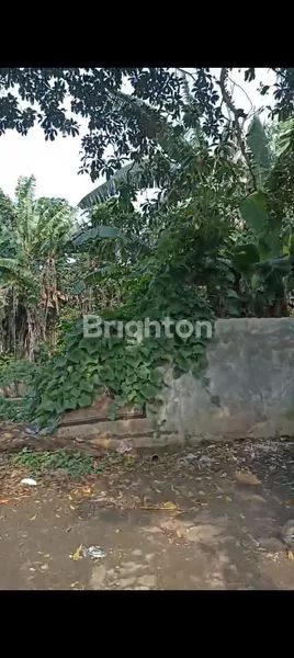 image TANAH UNTUK INVESTASI DI DEPOK LOKASI STRATEGIS NEGO SAMPAI JADI!!! (4)