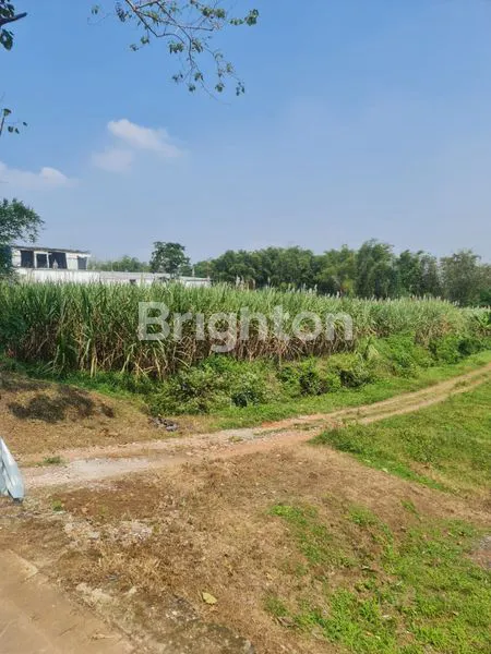 image MURAH ! TANAH INDUSTRI RAYA RANDUAGUNG (4)