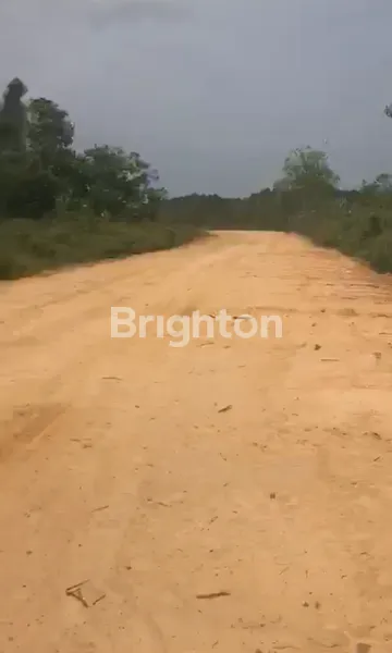 image JUAL TANAH AREA IKN, INVESTASI POTENSIAL. (1)