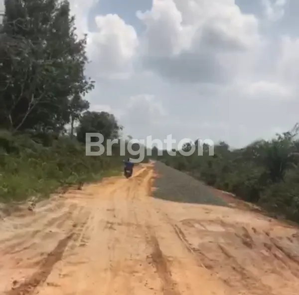 image JUAL TANAH AREA IKN, INVESTASI POTENSIAL. (2)