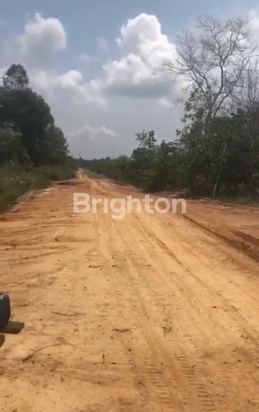 image JUAL TANAH AREA IKN, INVESTASI POTENSIAL. (4)