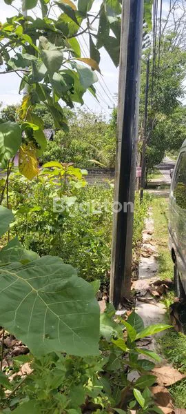 JUAL/SEWA TANAH DI JALAN NASIONAL SEMANU