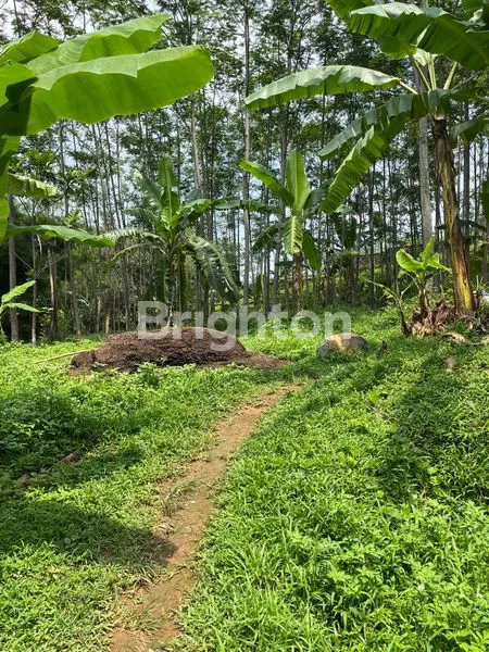 TANAH STRATEGIS COCOK UNTUK CAFE, RESTO, TEMPAT NYAMAN , ADEM,BEBAS BANJIR