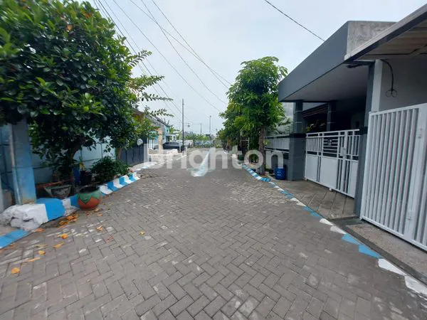 image TROPODO DEKAT JUANDA (4)