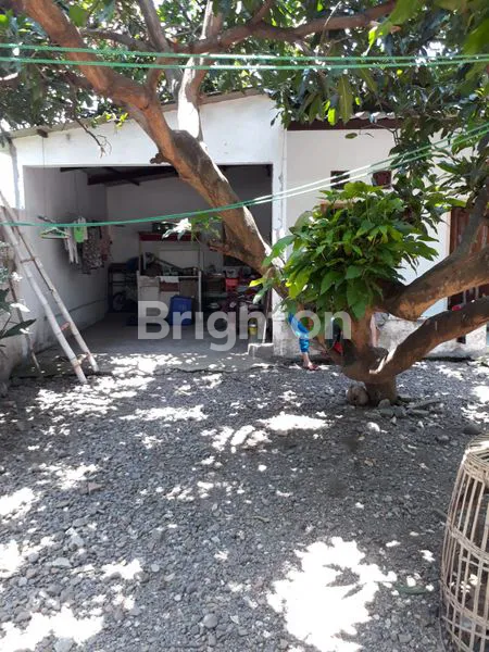 image RUMAH HITUNG TANAH BANYUWANGI KOTA (2)