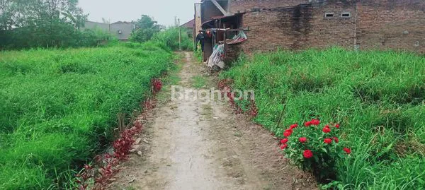 image TANAH SIAP BANGUN GG DAHLIA PASAR 7 TEMBUNG  (4)