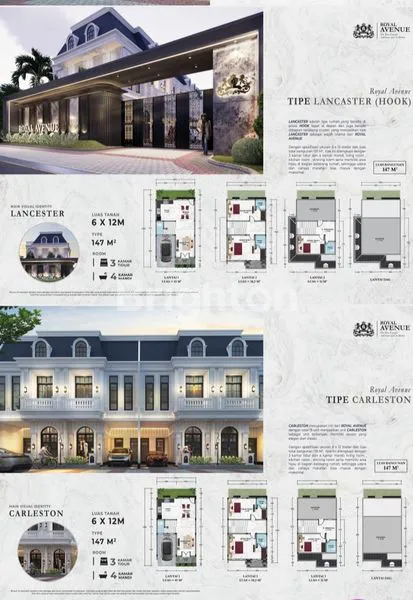 image ROYAL AVENUE TYPE PORTLAND (7)