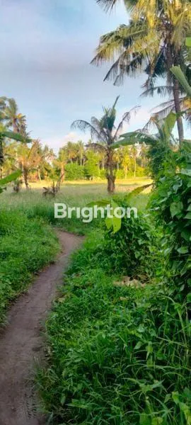 image TANAH STRATEGIS LOKASI PERUMAHAN (3)