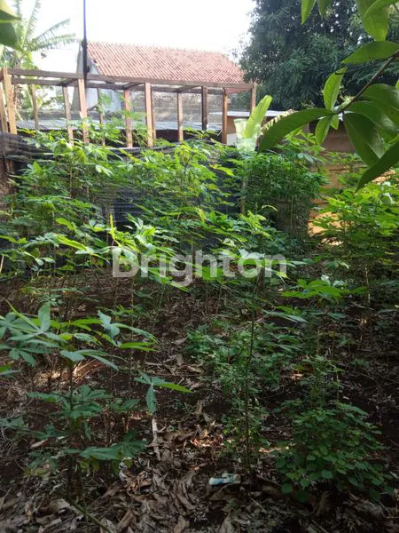 TANAH 1000 M2 DI GANDUL, PANGKALAN JATI, DEKAT DENGAN JAKARTA SELATAN