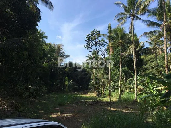 image PEKARANGAN, VIEW MERBABU | SALATIGA (1)