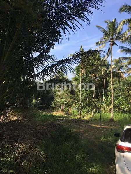 image PEKARANGAN, VIEW MERBABU | SALATIGA (2)